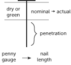 nail penetration